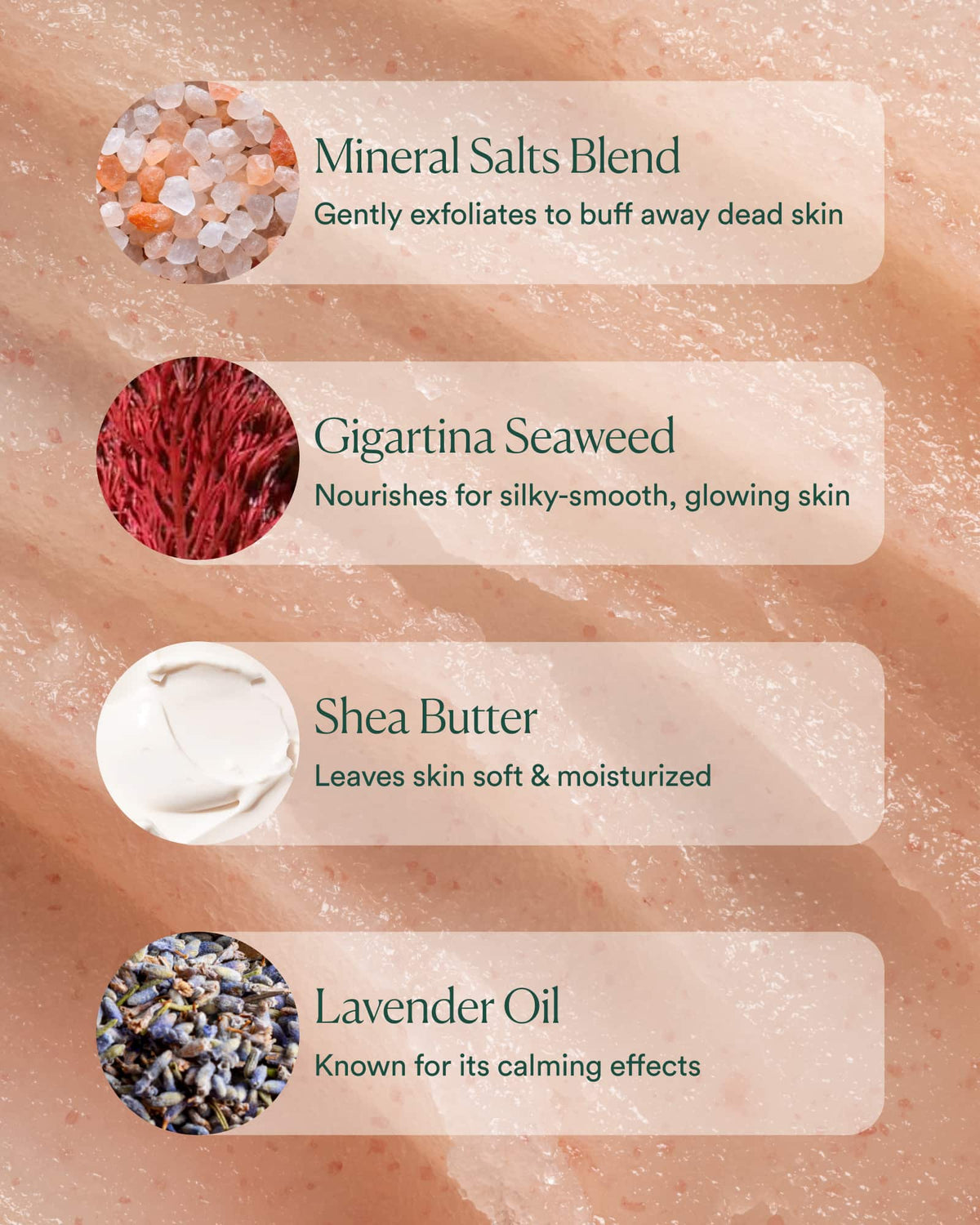 Salts of the Earth Body Scrub（12 oz）